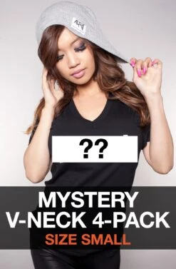 Mystery V-Neck 4-Pack - Small (Women's V-Neck Tees)(Mystery V Neck 6 Pack Small Womens V Neck Tees)
