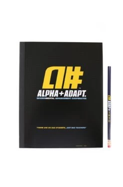 Alphanumeric X Adapt :: Bad Teachers (Graph Workbook + Pencil)(Alphanumeric X Adapt Bad Teachers Graph Workbook Pencil)